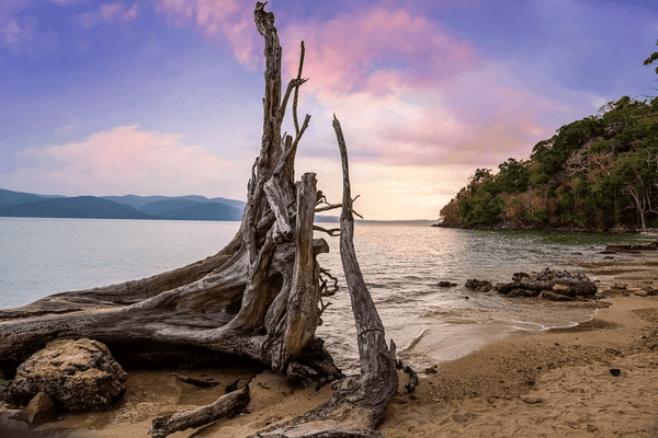 Day 1 – Arrival at Port Blair