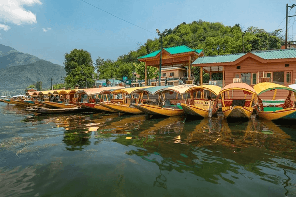 Day 1 – Srinagar Arrival & Dal Lake Shikara Ride