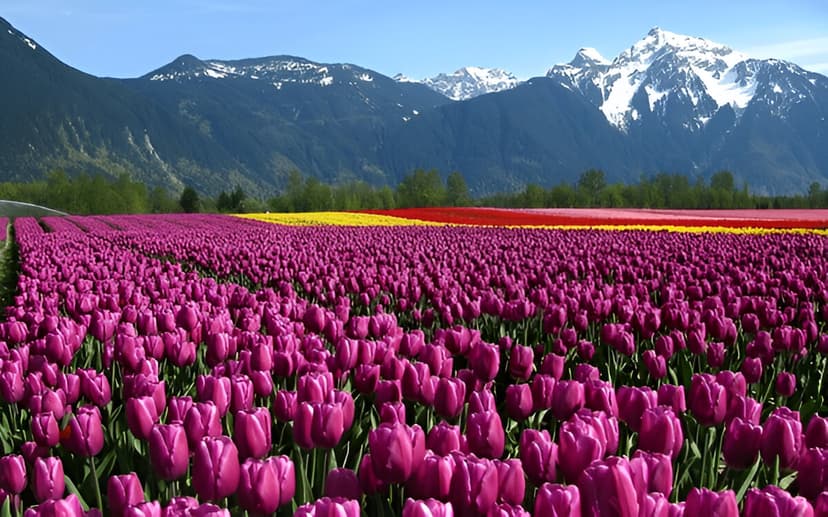 Day 1 Arrival in Srinagar – Welcome to Paradise