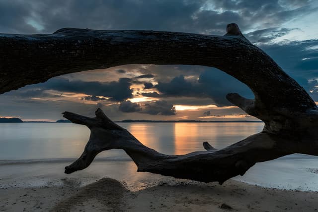 4 Nights & 5 Days Wow Andaman