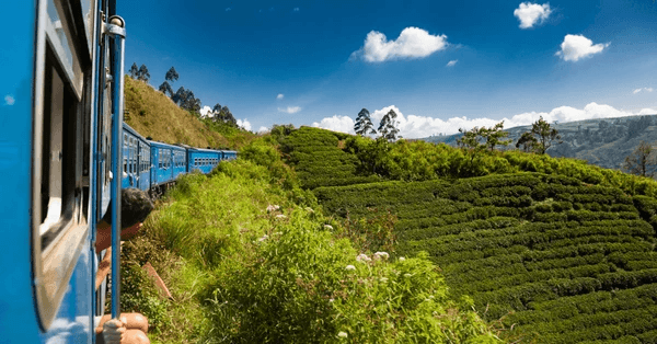 Discover Sri Lanka - 5 nights