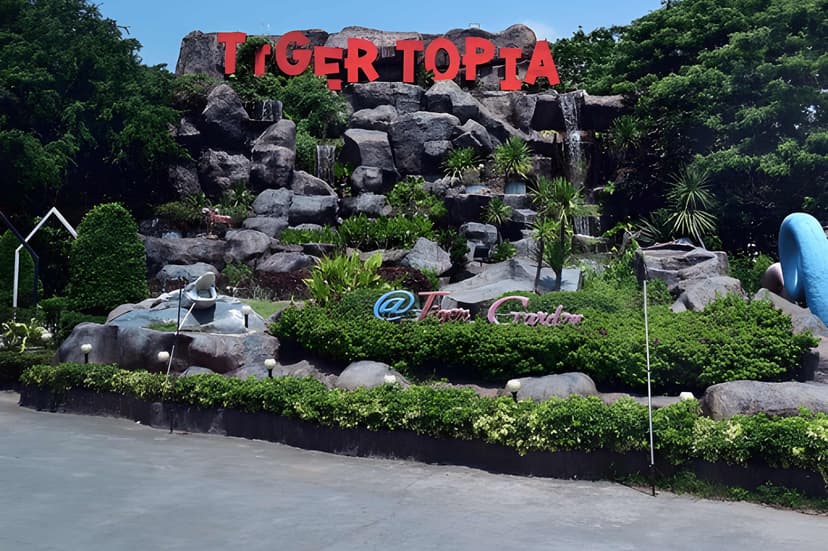 Day 1 – Arrival in Bangkok | Transfer to Pattaya | Tiger Topia | Alcazar Show