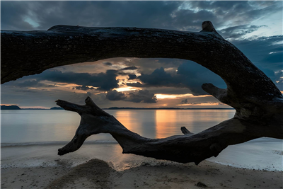 4 Nights & 5 Days Wow Andaman