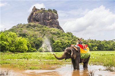 7 Nights & 8 Days Sri Lanka Classic Circuit