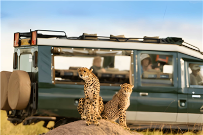 6 Nights & 7 Days The Great Kenyan Wilderness